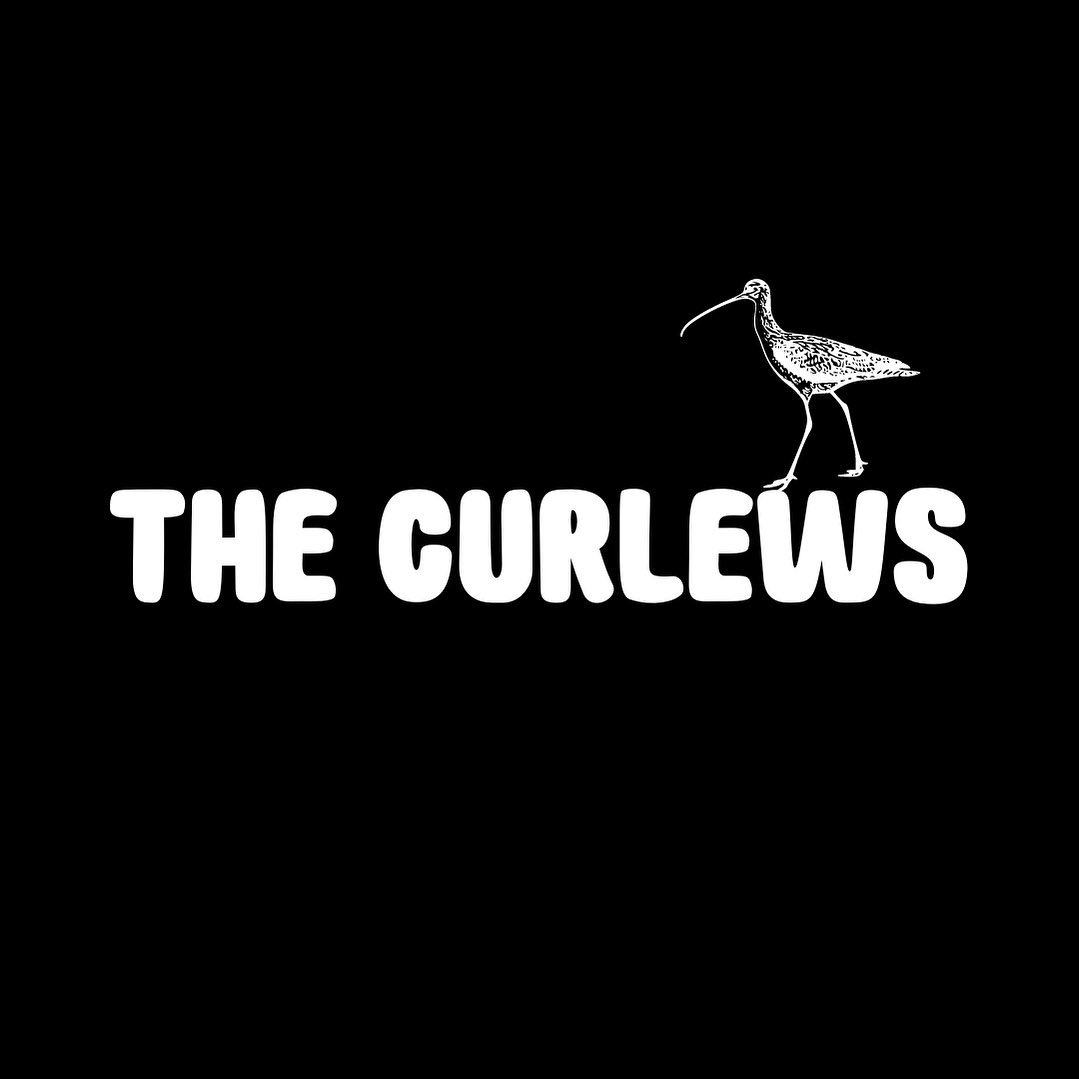 The Curlews Live At The Beach House Hotel